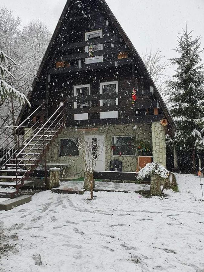 Cabanuta Dan & Alex Villa Cârțișoara Exterior photo
