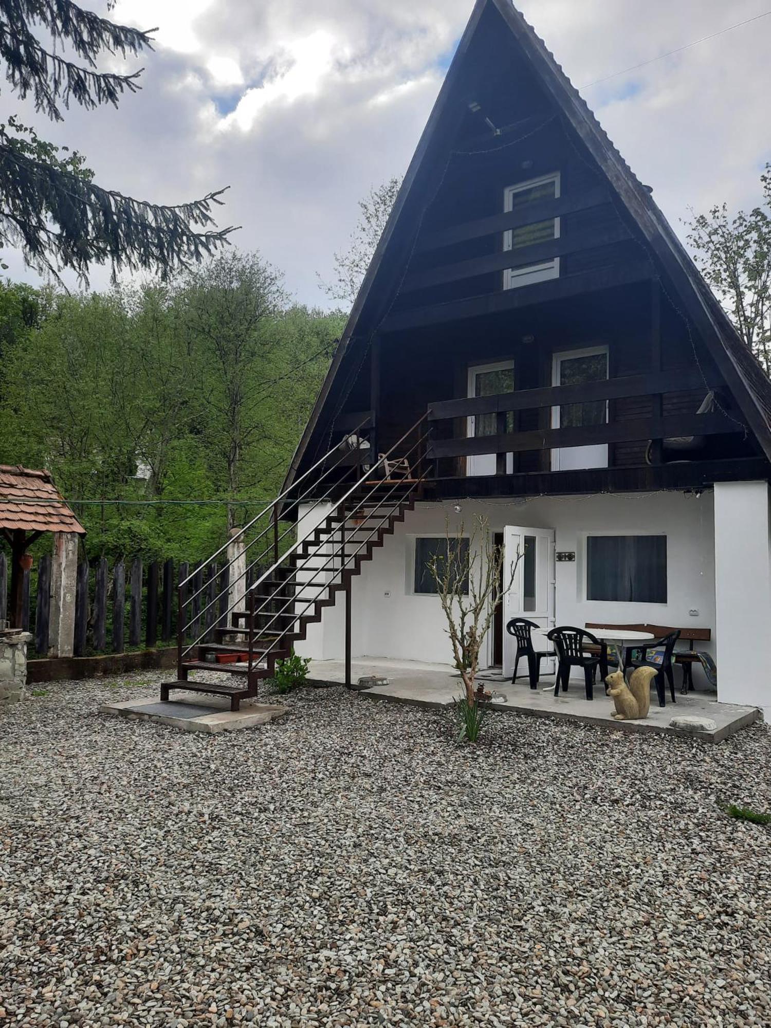 Cabanuta Dan & Alex Villa Cârțișoara Exterior photo
