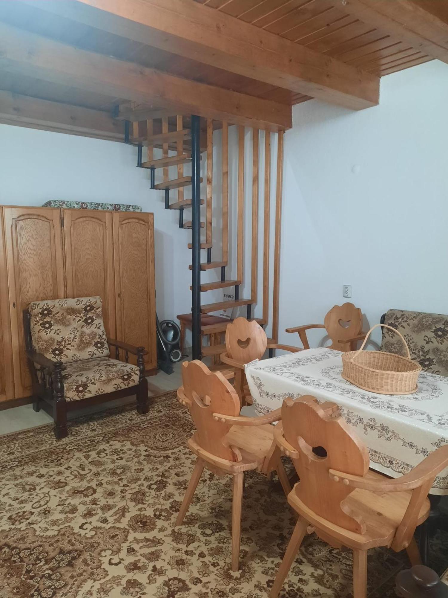 Cabanuta Dan & Alex Villa Cârțișoara Exterior photo