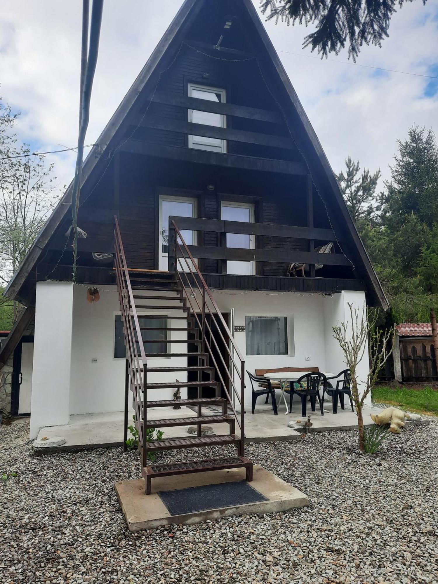 Cabanuta Dan & Alex Villa Cârțișoara Exterior photo