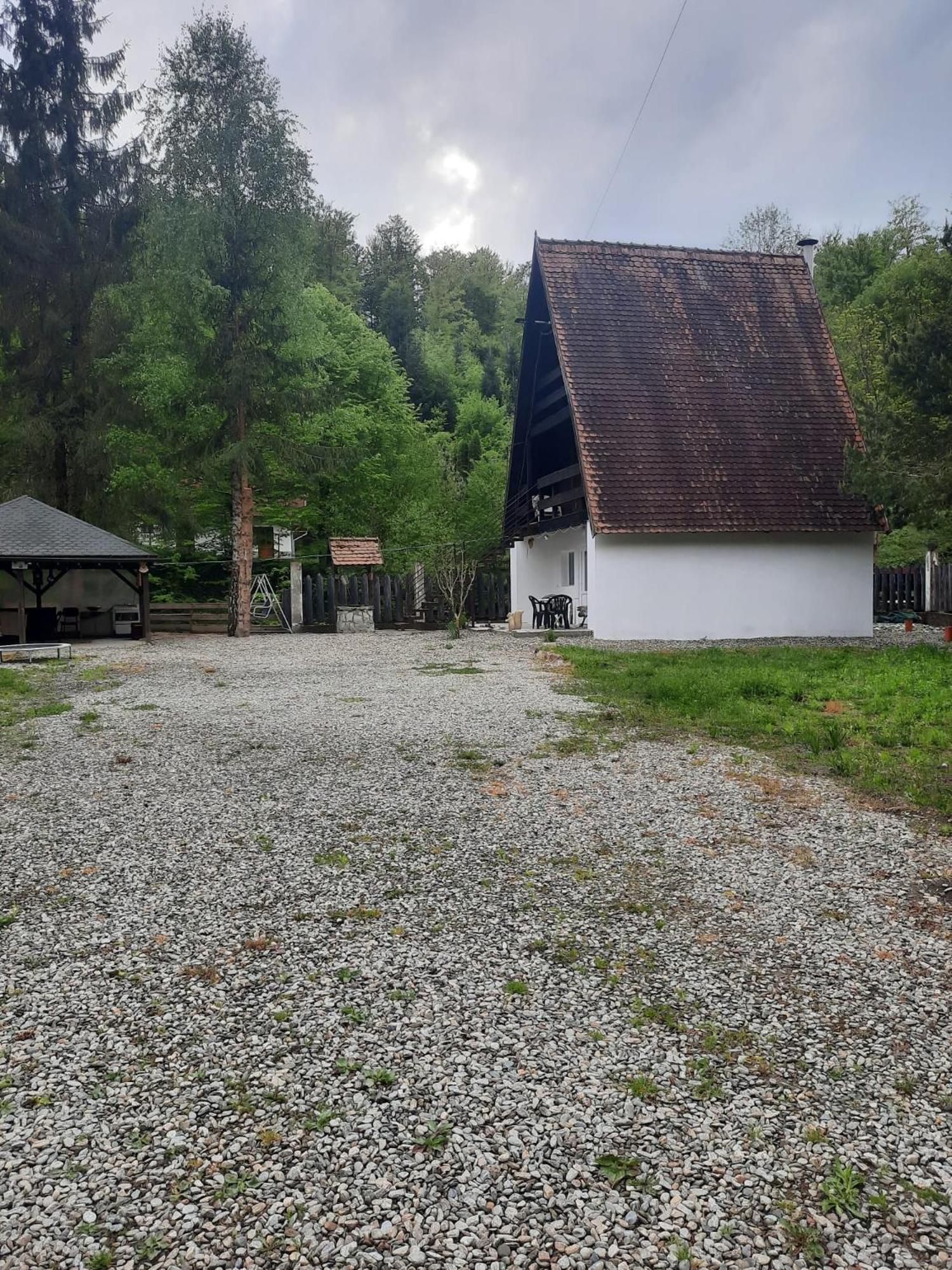 Cabanuta Dan & Alex Villa Cârțișoara Exterior photo